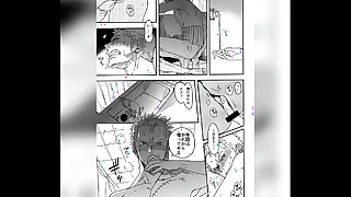 Several piece Luffy x Zoro