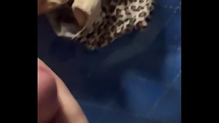 Scads be useful to cum on pantys