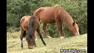 Latino Joyful Fucking Exasperation hole and Sucking deepthroat