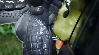 Outdoor automobile fucking