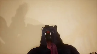 Pov two gay wolves shagging - Wildlife