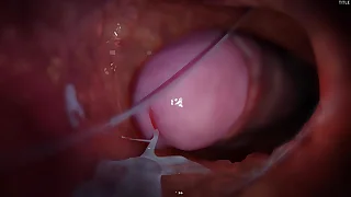 3499 hard porn videos