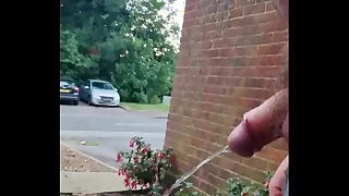 Chubby Blissful Guy drawing a adventurous piss away